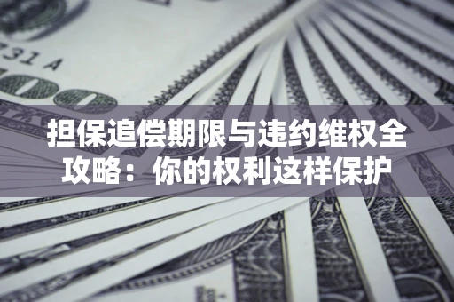 济南担保追偿期限与违约维权全攻略：你的权利这样保护